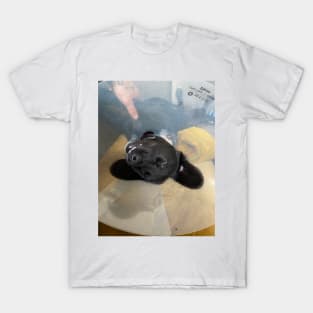 cone of shame T-Shirt